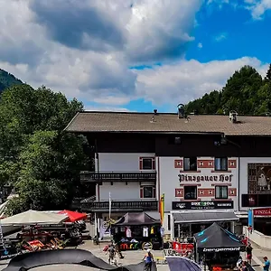 3* Hotel Pinzgauerhof - Inclusive Evening Dinner And Joker Card In Summer