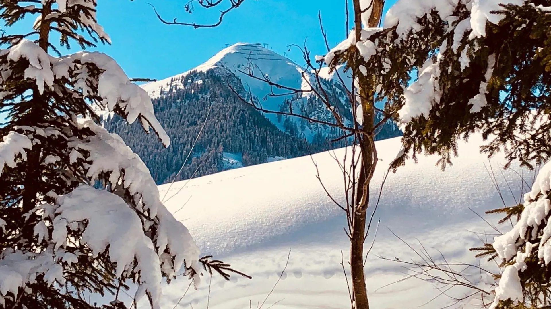 Appartements Living Saalbach Austria